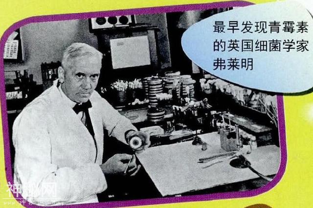 你不知道的细菌-7.jpg