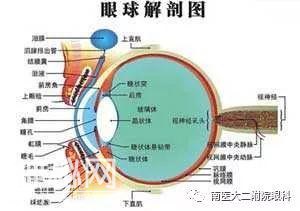 听了个鬼故事，温州男子右眼突然看不见了！原因吓人-5.jpg