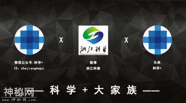 你觉得可能不存在，但世界上还真有的那些生物……长见识了！-18.jpg
