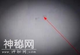 超自然动物的消失：为什么我们不能发现龙存在的证据-2.jpg