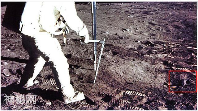 刚刚，俄专家爆料：美国宇航员似曾在月球上找到“外星人头骨”？-2.jpg