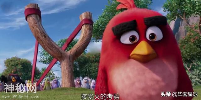 不需要化解的矛盾-3.jpg