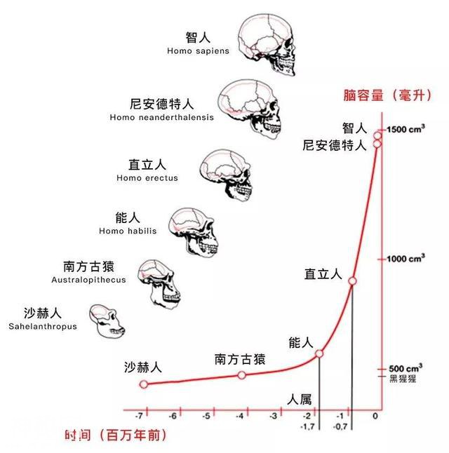 人类都是早产儿？从生物学看人文观点的重要性及中西文化简单对比-2.jpg
