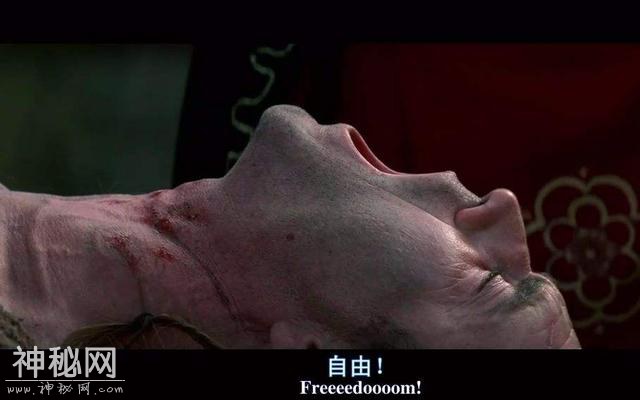 人类都是早产儿？从生物学看人文观点的重要性及中西文化简单对比-17.jpg