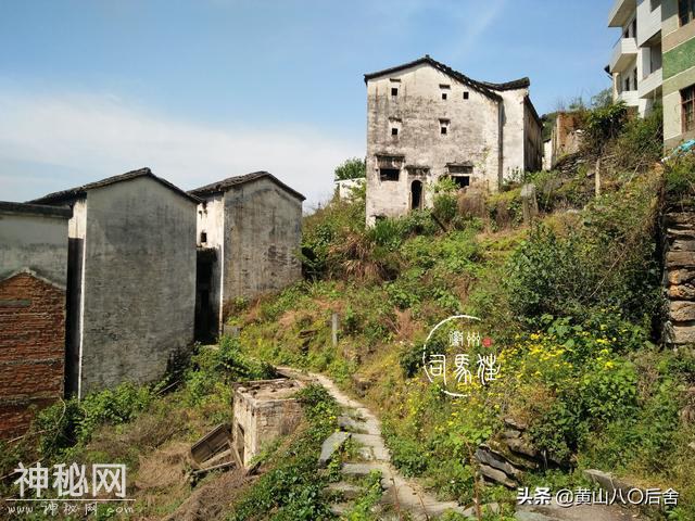 歙县金竹岭：徽州贡菊原产地，却因为地质灾害整体搬迁的村子-3.jpg