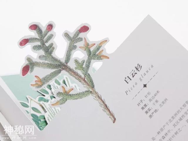 可以「撕」的大英图书馆藏书，把立体的星球和蝴蝶放进孩子口袋丨好书推荐-6.jpg