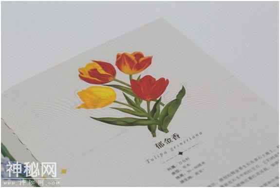 可以「撕」的大英图书馆藏书，把立体的星球和蝴蝶放进孩子口袋丨好书推荐-4.jpg