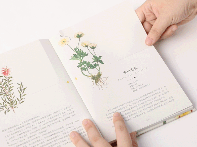 可以「撕」的大英图书馆藏书，把立体的星球和蝴蝶放进孩子口袋丨好书推荐-5.jpg
