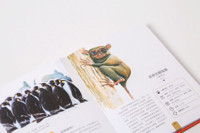可以「撕」的大英图书馆藏书，把立体的星球和蝴蝶放进孩子口袋丨好书推荐-26.jpg