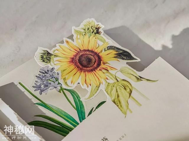 可以「撕」的大英图书馆藏书，把立体的星球和蝴蝶放进孩子口袋丨好书推荐-22.jpg