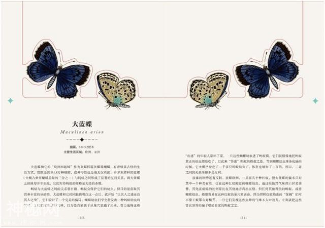 可以「撕」的大英图书馆藏书，把立体的星球和蝴蝶放进孩子口袋丨好书推荐-19.jpg