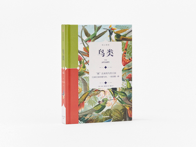 可以「撕」的大英图书馆藏书，把立体的星球和蝴蝶放进孩子口袋丨好书推荐-20.jpg