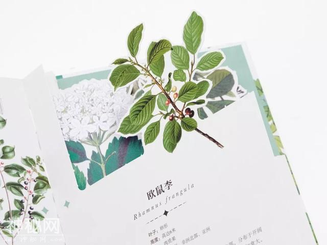 可以「撕」的大英图书馆藏书，把立体的星球和蝴蝶放进孩子口袋丨好书推荐-18.jpg
