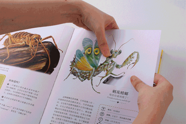 可以「撕」的大英图书馆藏书，把立体的星球和蝴蝶放进孩子口袋丨好书推荐-36.jpg