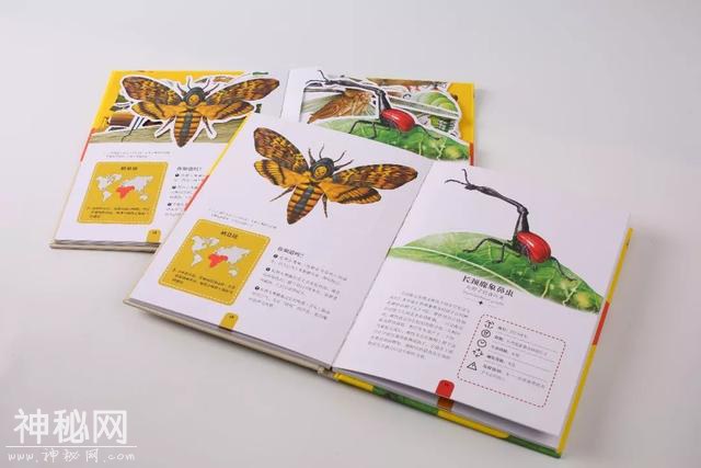 可以「撕」的大英图书馆藏书，把立体的星球和蝴蝶放进孩子口袋丨好书推荐-37.jpg