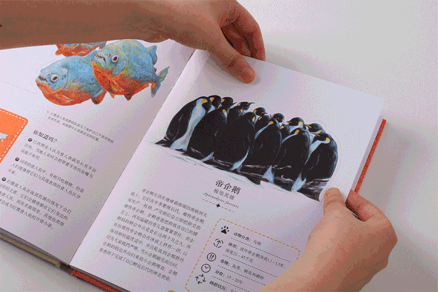 可以「撕」的大英图书馆藏书，把立体的星球和蝴蝶放进孩子口袋丨好书推荐-34.jpg