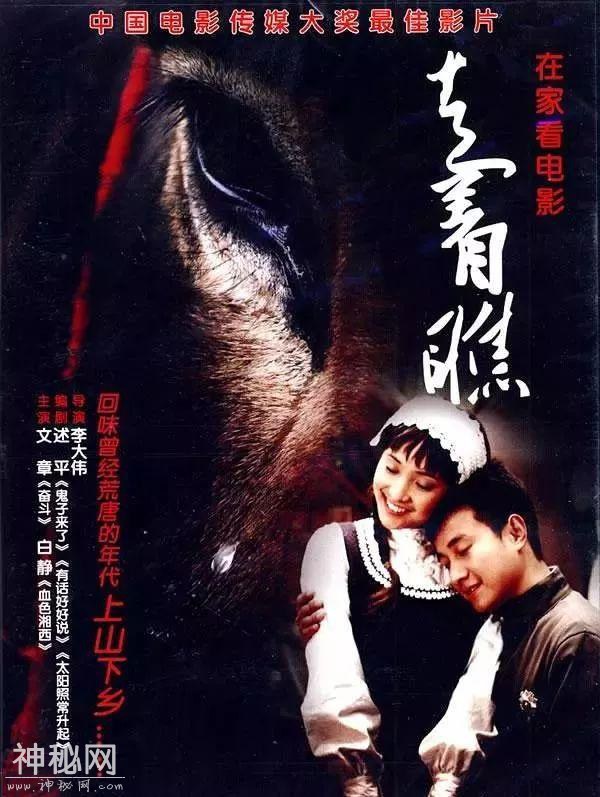 与动物配戏，演技能成“精”的，除了黄渤，也只有他了-4.jpg