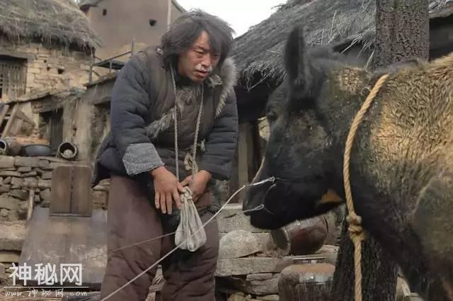 与动物配戏，演技能成“精”的，除了黄渤，也只有他了-34.jpg