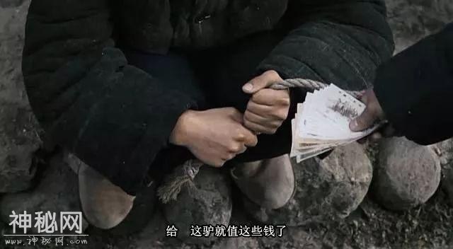 与动物配戏，演技能成“精”的，除了黄渤，也只有他了-28.jpg