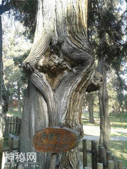 史上唯一一个死后被葬在黄河滩地的皇上！却没人敢盗墓，为何？-5.jpg