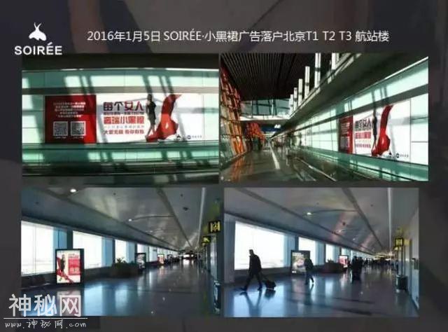 中国社交电商野史-5.jpg