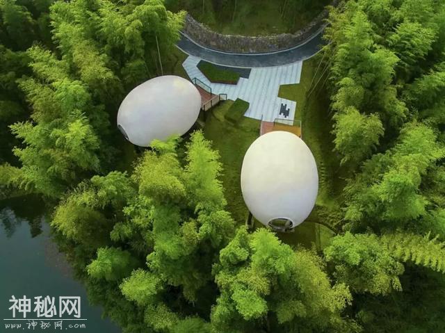 隐匿在山水竹林之中酷似UFO的球形别墅，想去吗？-41.jpg