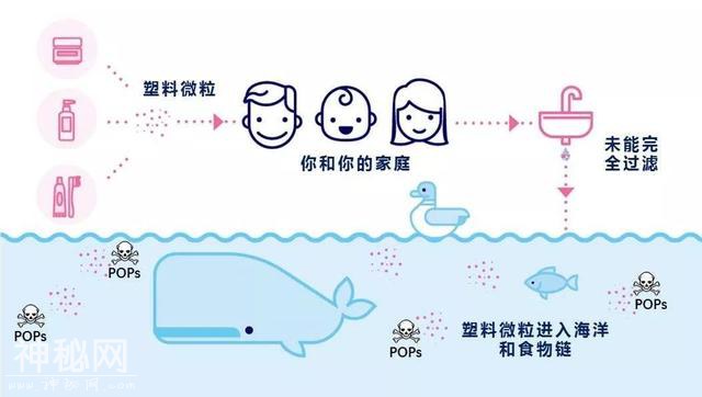为什么中国急着垃圾分类？1116条生命告诉你答案  ?-43.jpg