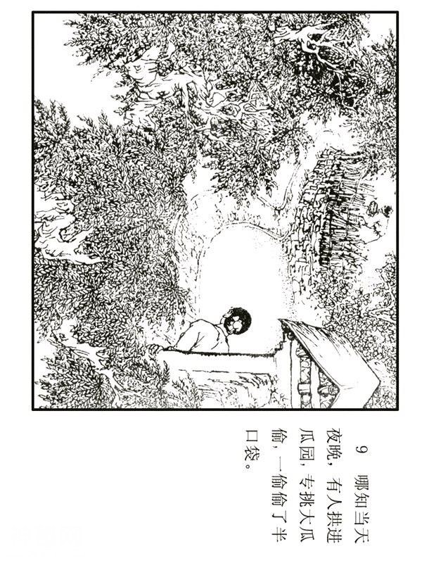 民间故事《猪八戒出生记》杨晓晖 绘-11.jpg