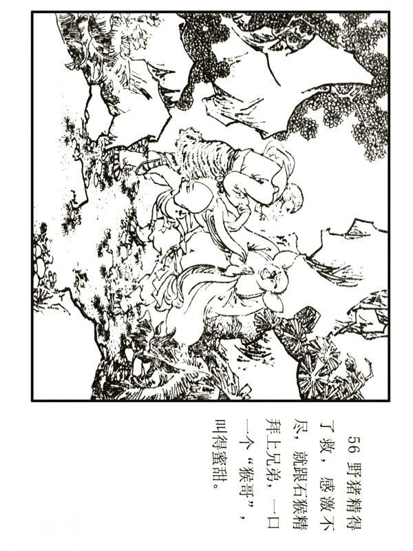 民间故事《猪八戒出生记》杨晓晖 绘-58.jpg