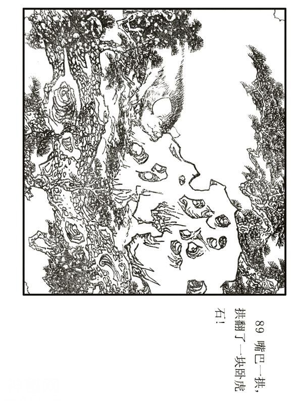 民间故事《猪八戒出生记》杨晓晖 绘-91.jpg