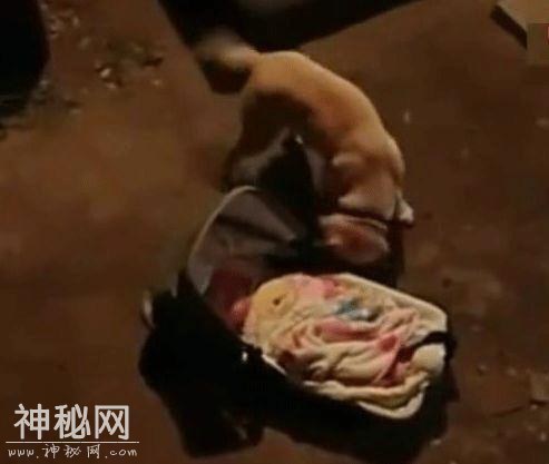 动物萌萌的瞬间-13.jpg