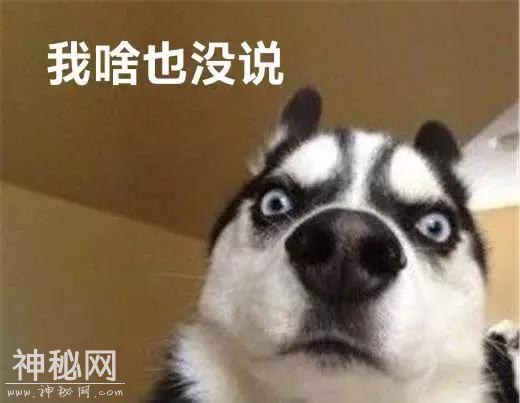 为什么别人社保报销比你多？因为做对了这7件事-11.jpg