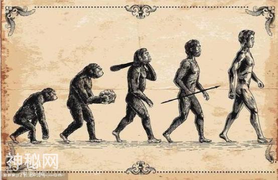 100万年后人类是怎样的？或不再是生物，已进化成半机械生化体-2.jpg