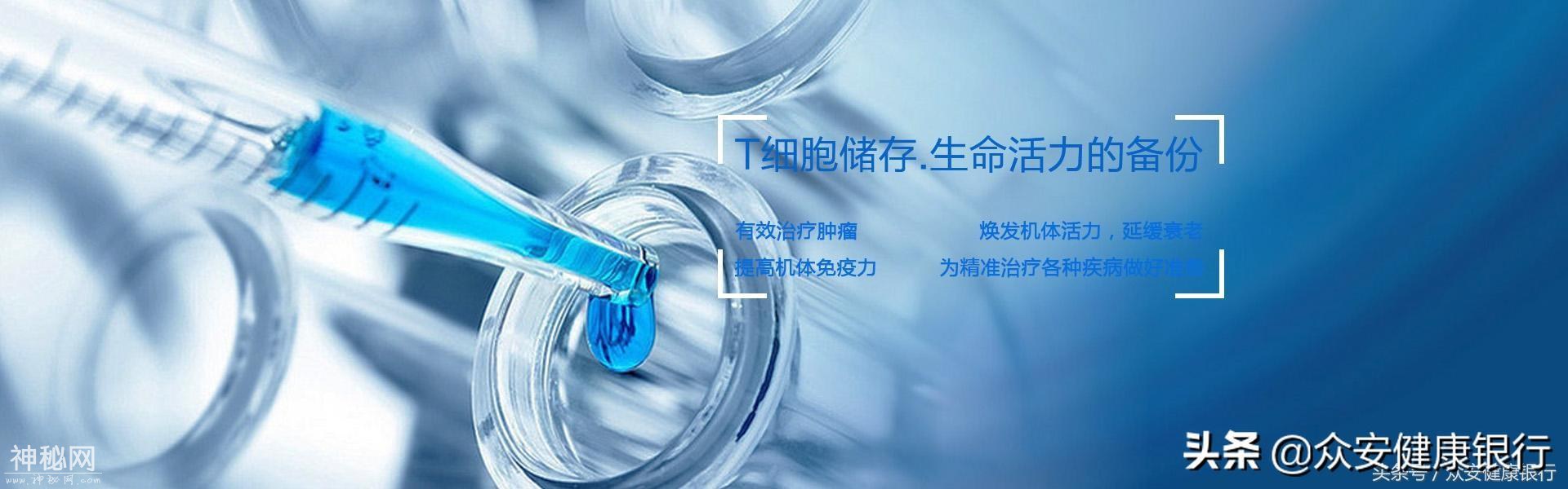 人体携带着多少细菌，免疫系统如何对抗它们？-4.jpg