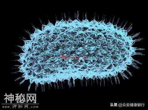 人体携带着多少细菌，免疫系统如何对抗它们？-1.jpg