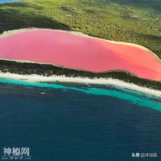 自然界中难以解释的自然现象-5.jpg