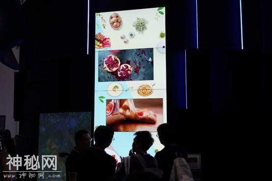 InfoComm China 2019：松下“星球游乐园”惊艳亮相-7.jpg