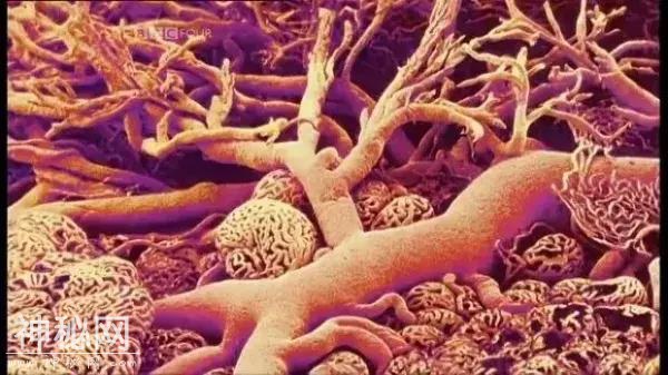 影视推荐：7部世界顶尖的宇宙纪录片-14.jpg