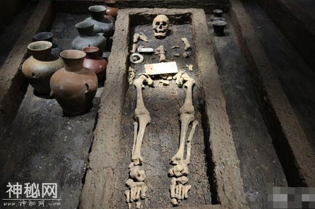 古人比现代人身材更高？考古不断发现史前遗址，或解开了真相-3.jpg