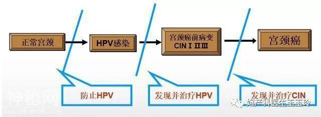 因性爱感染这个病毒！21岁的她查出癌症晚期！1件事其实就能无忧-1.jpg