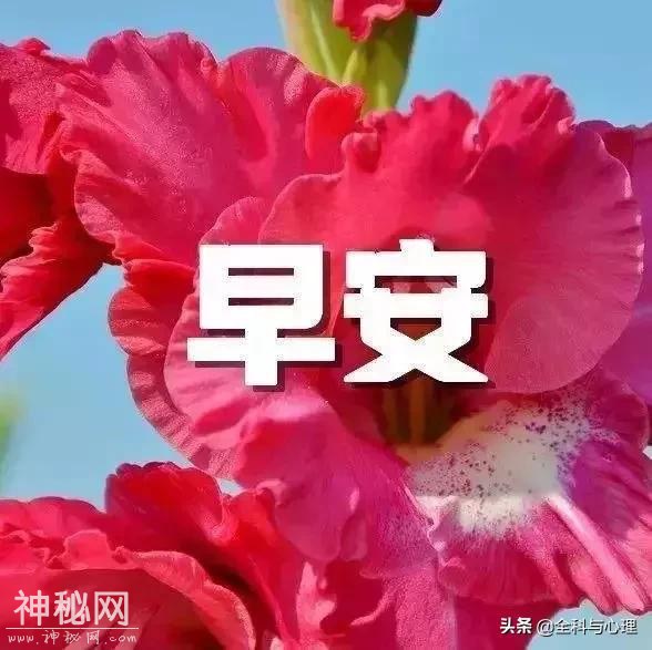 早安优美的心灵鸡汤经典语录 唯美温馨的早安心语-8.jpg