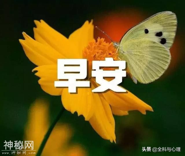 早安优美的心灵鸡汤经典语录 唯美温馨的早安心语-3.jpg