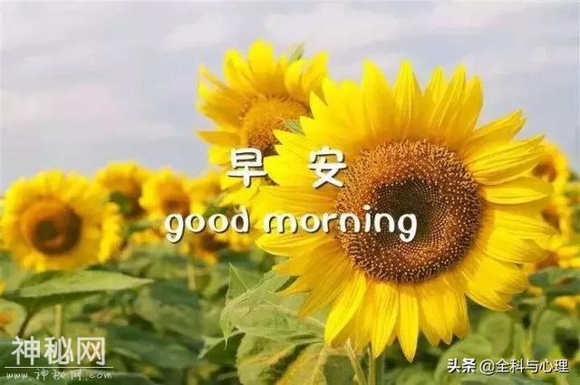 早安优美的心灵鸡汤经典语录 唯美温馨的早安心语-7.jpg