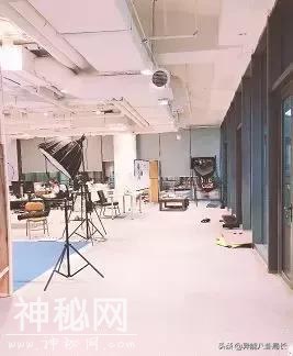 出道10年，好好的人怎么就疯了呢？-19.jpg