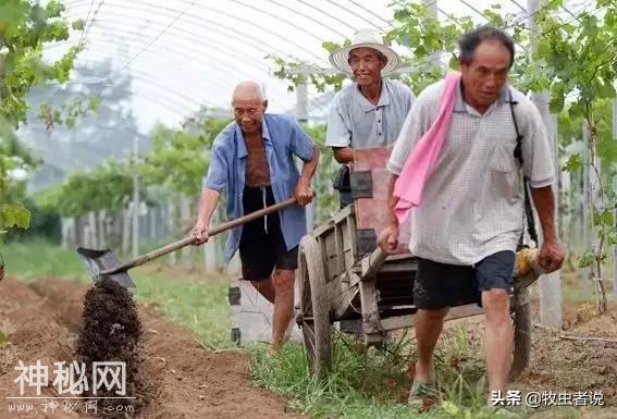 生物菌肥和有机肥的区别在哪？好多人都没搞懂-1.jpg
