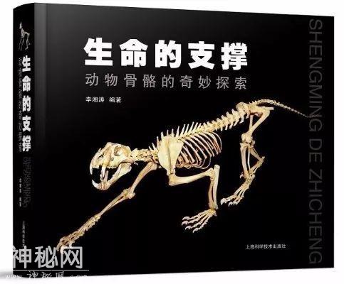 荐书 | 那些动物骨骼告诉我的事-7.jpg