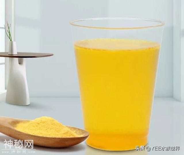 给鱼治病要不要加硝化细菌，多数人忽视，少数人犹豫-4.jpg