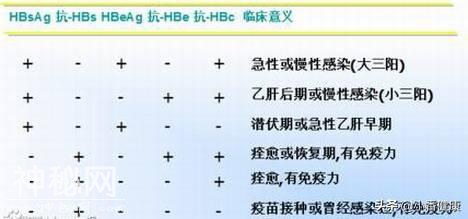 乙肝五项对乙肝病毒携带的提示-1.jpg