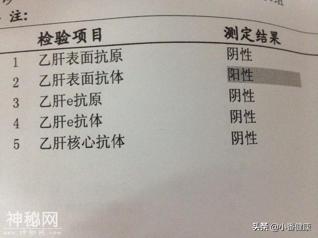 乙肝五项对乙肝病毒携带的提示-2.jpg