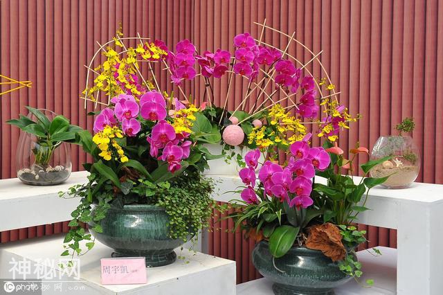 盆花高手的"9大养花绝技"-6.jpg